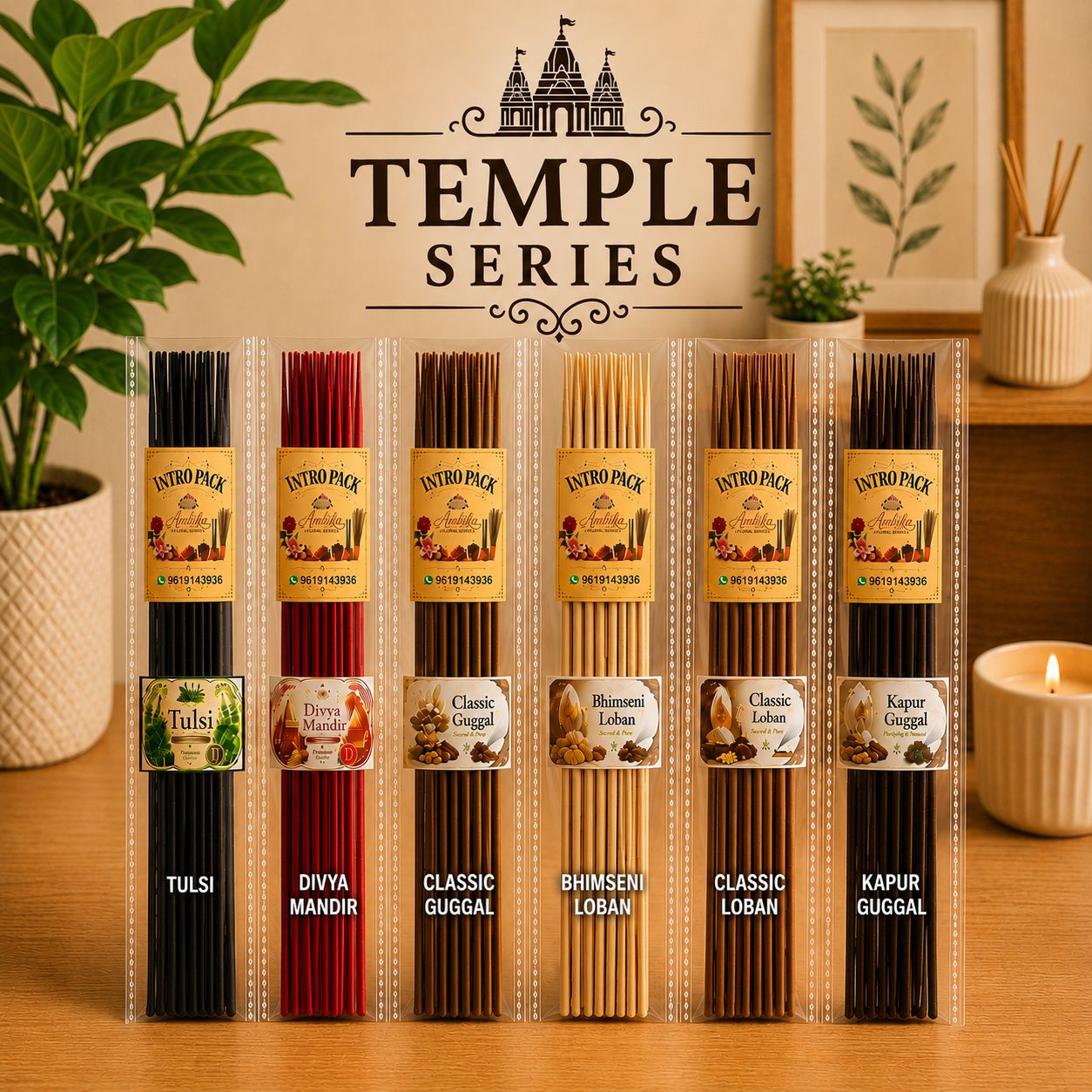 Intro pack of 6 - Temple Series